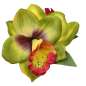 Preview: Haarblume Orchidee Hawaii grün