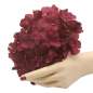 Preview: Half Hat with burgundy red hydrangeas