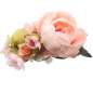 Preview: rosa Haarblume, Ansteckblume, Pfingstrose, Hortensie