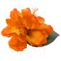 Preview: hibiskus haarblume orange mirandas choice