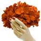 Preview: fascinator rot Blumen vintage hortensien