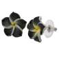 Preview: Black Frangipani - Stud Earrings with Small Hawaii Flower
