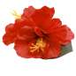 Preview: hair flower big hibiscus red