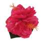 Preview: hair flower pink hibiscus miarndas choice