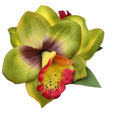 Haarblume Orchidee Hawaii grün