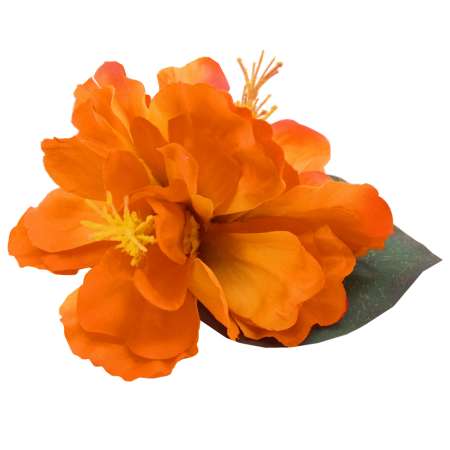 hibiscus hairflower orange miarndas choice