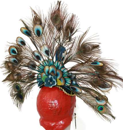 peacock headdress back side