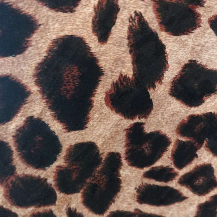 Leopard Saum Nahaufnahme