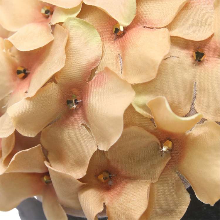 closeup flowers