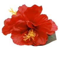 Red hibiscus hair flower
